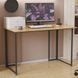 Комп'ютерний стіл Ferrum-decor Ханна 76x100x60 чорний ДСП Дуб Артизан 32мм (FRD-106234)