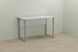 Письмовий стіл Ferrum-decor Курт 75x100x60 сірий ДСП Біле 16мм (FRD-101827)
