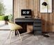 Стіл туалетний письмовий Perfect Home Ада / Ada 5S/120 з 5 шухлядами Антрацит (PFH-091308)