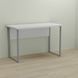 Письменный стол Ferrum-decor Курт 76x100x60 серый ДСП Белое 32мм (FRD-101832)